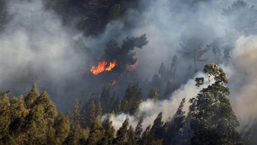 Incendios en Asturias