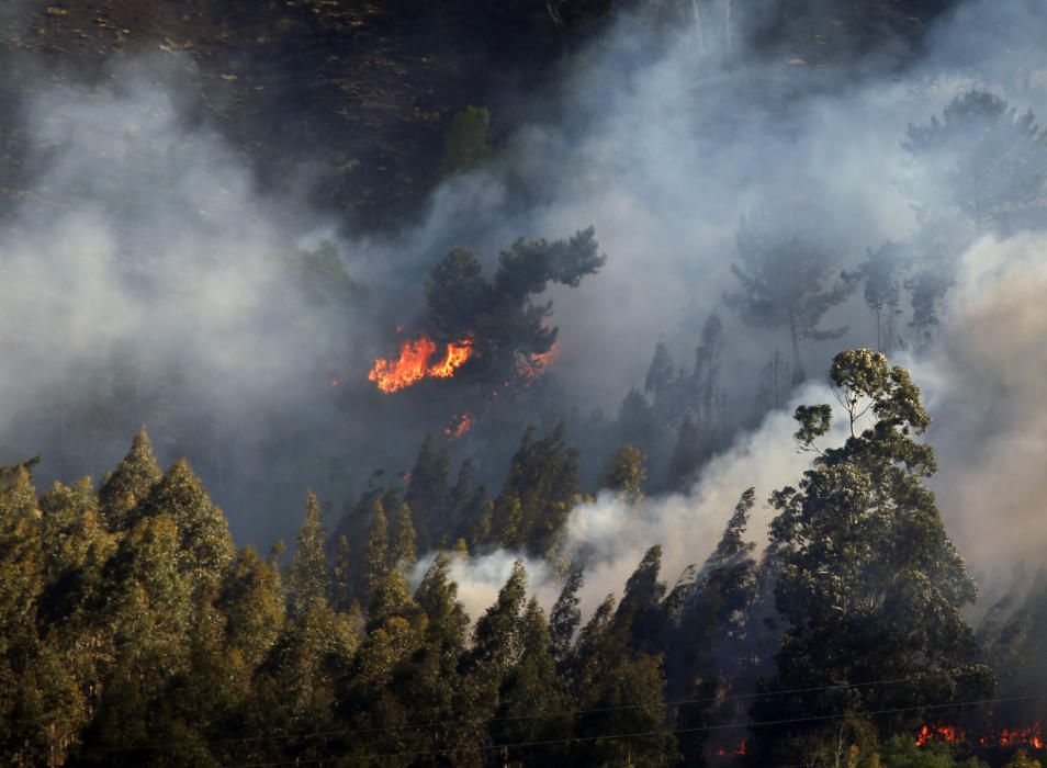 Incendios en Asturias