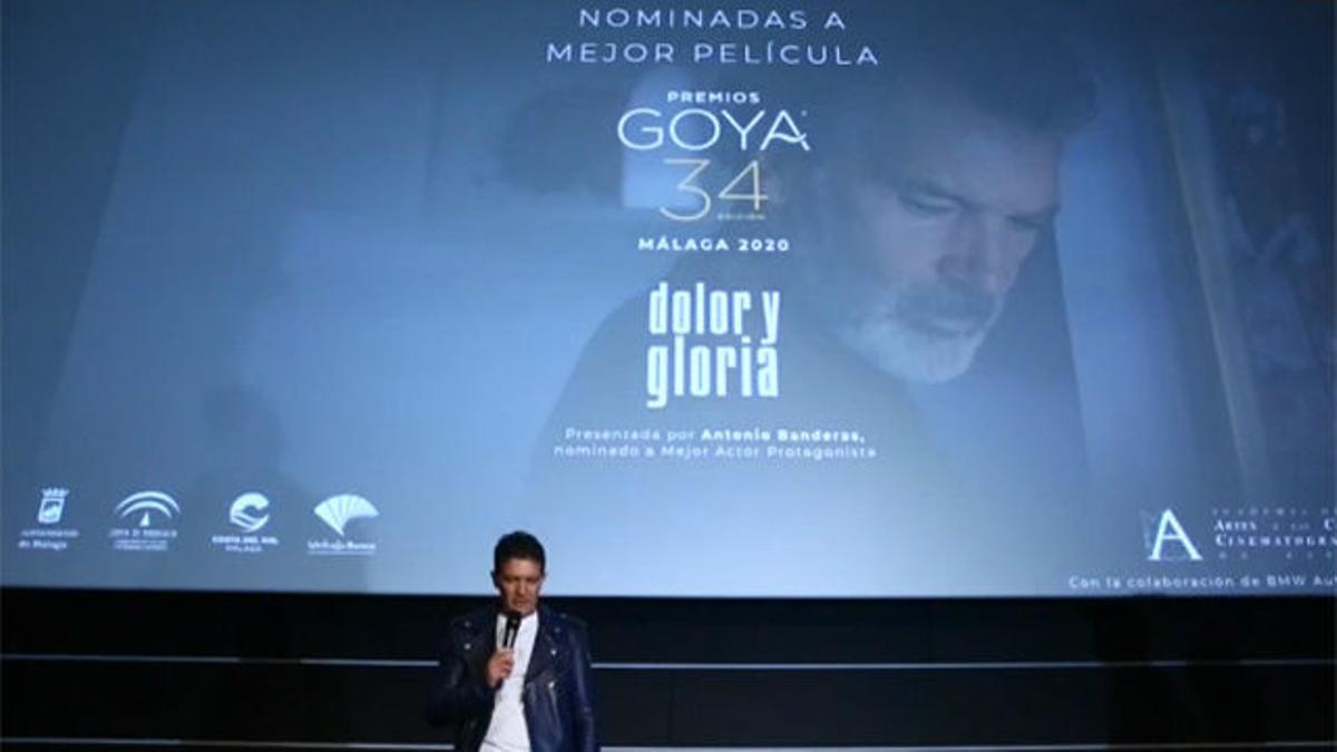 Antonio Banderas: Es complicado ganar, pero el premio es esa nominación