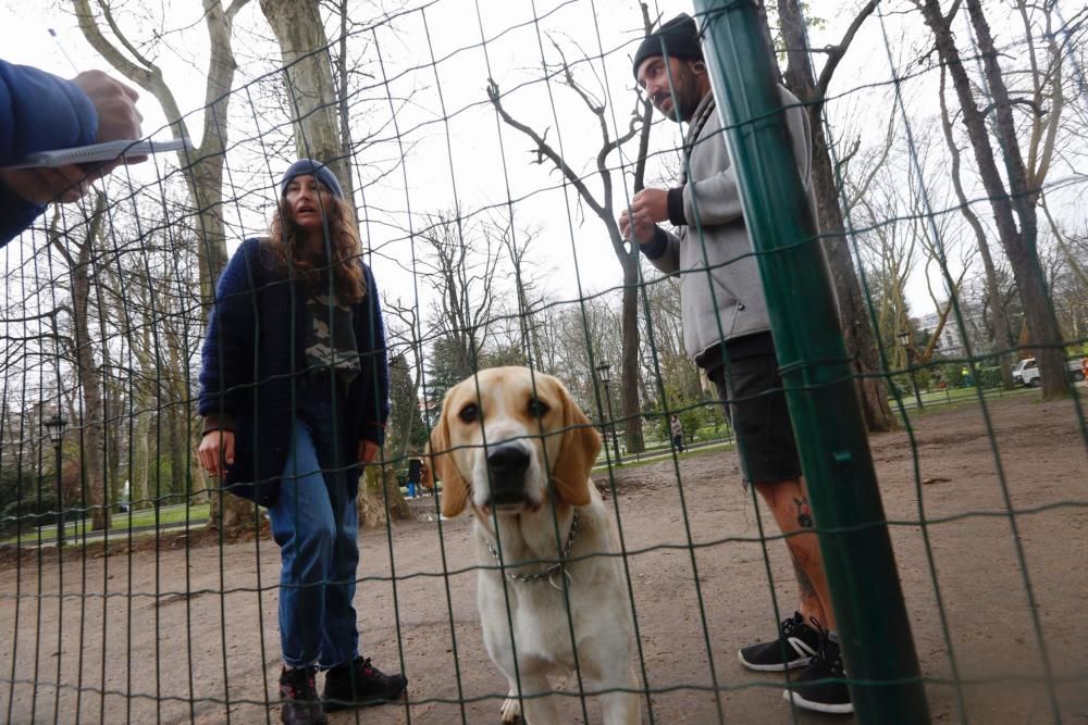 Parque de perros en el Parque San Francisco de Oviedo