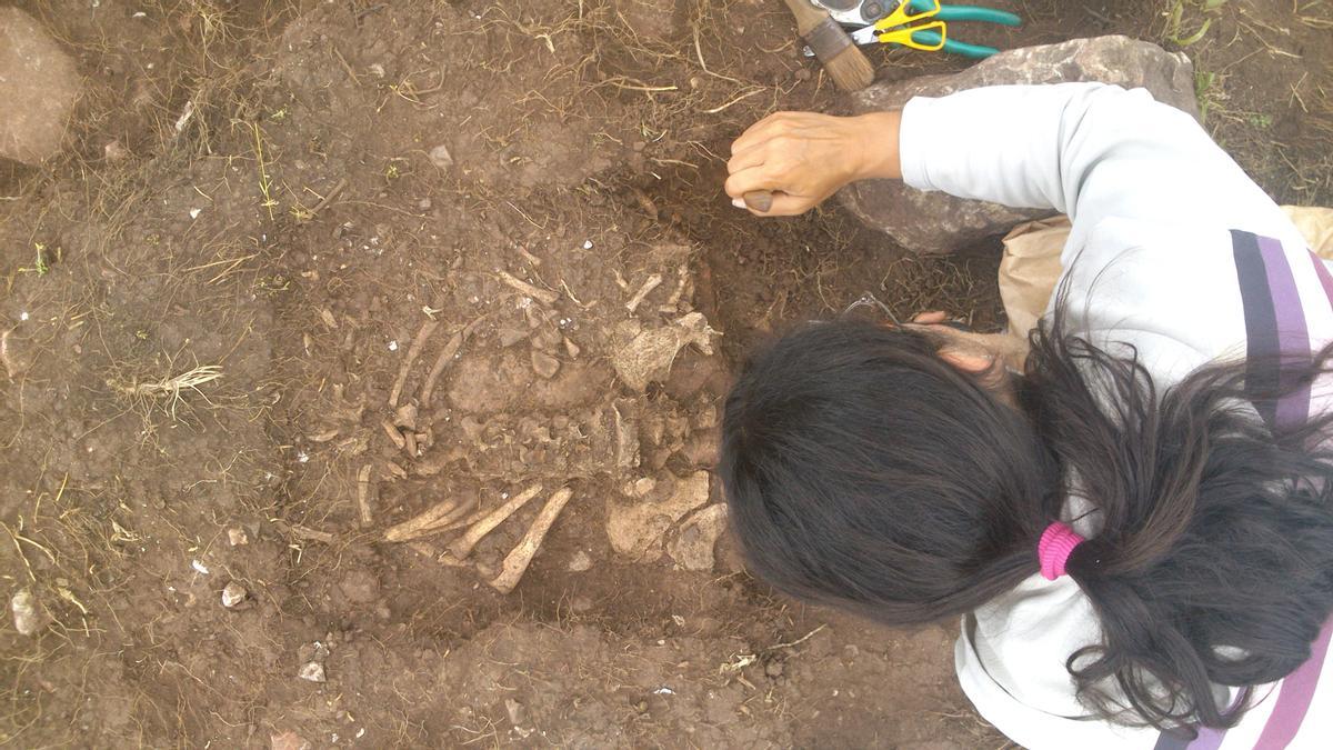 Una arqueóloga, trabayando nel desenterramientu d&#039;una cadarma atopada en 2013 nel xacimientu.