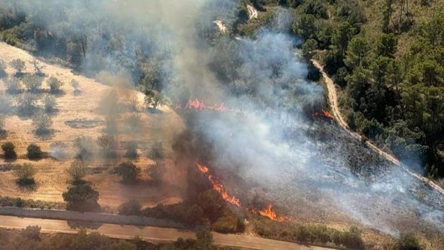 Extinguido un incendio forestal tras arrasar 1,4 hectáreas de monte en Randa