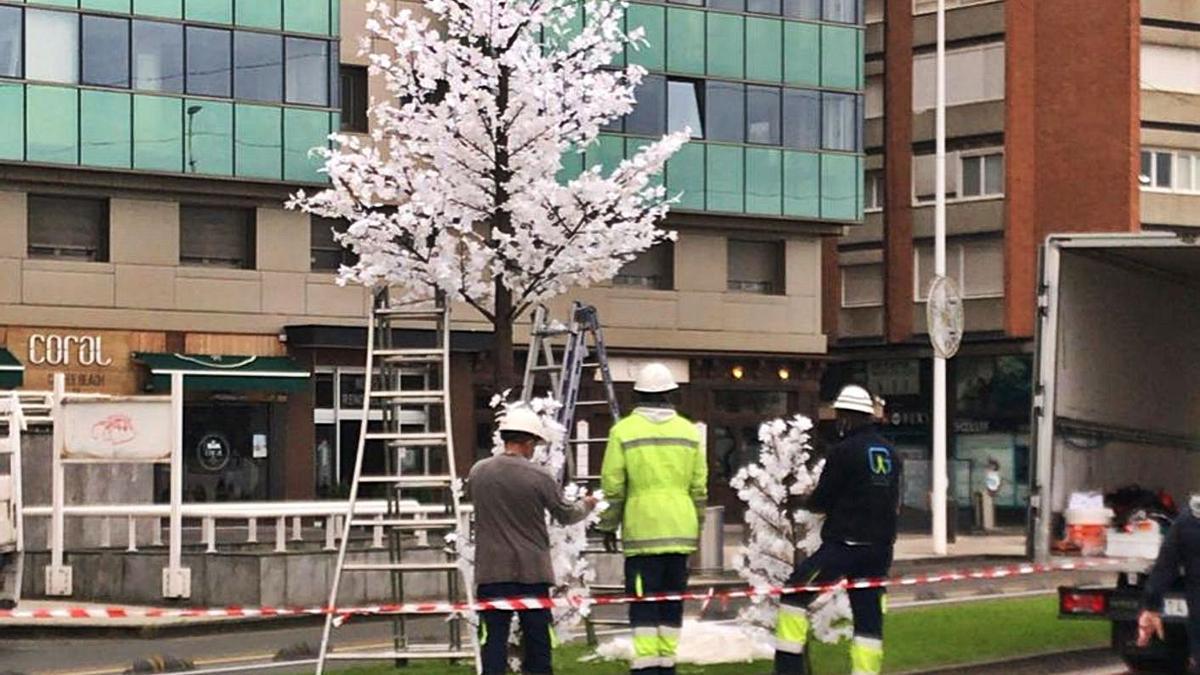 Árboles “blancos” en el Muro para completar la decoración navideña |