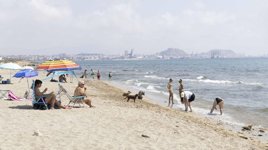 La playa canina de Agua Amarga de Alicante se queda sin servicios para perros