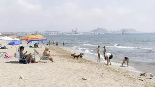 La playa canina de Agua Amarga se queda sin servicios para perros