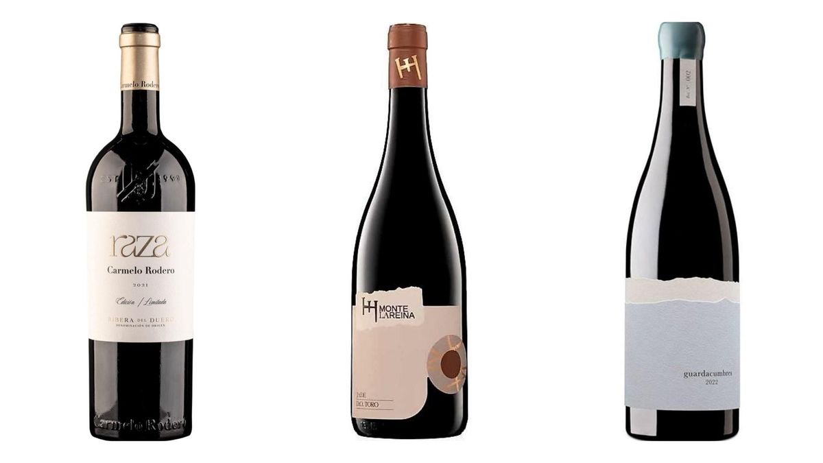 3 vinos tintos nuevos que deberías tener muy en cuenta