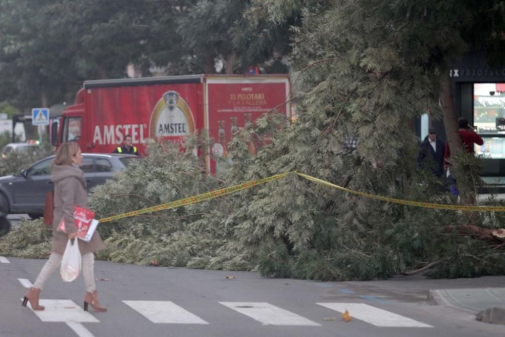 La borrasca Ana, a su paso por Cartagena