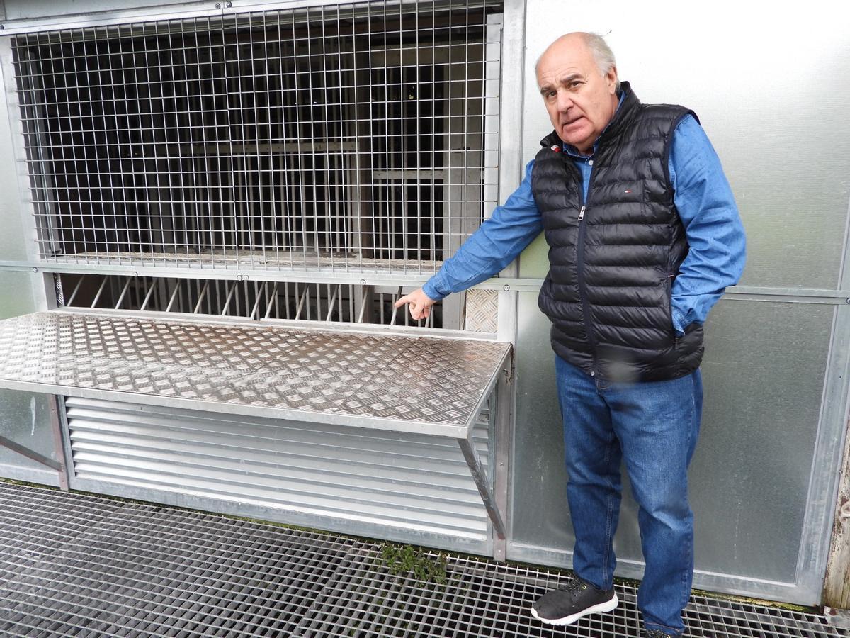 El compostelano de las mil palomas mensajeras: "Solté una en Barcelona y regresó a Santiago"