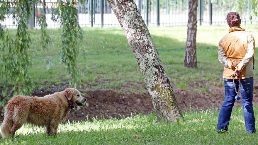 La picaresca de pasear al perro: pillan al dueño de un can a dos kilómetros de casa