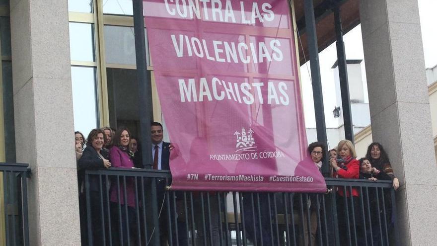 La Plataforma contra la Violencia a las Mujeres niega que quisieran dejar fuera este debate en el pleno