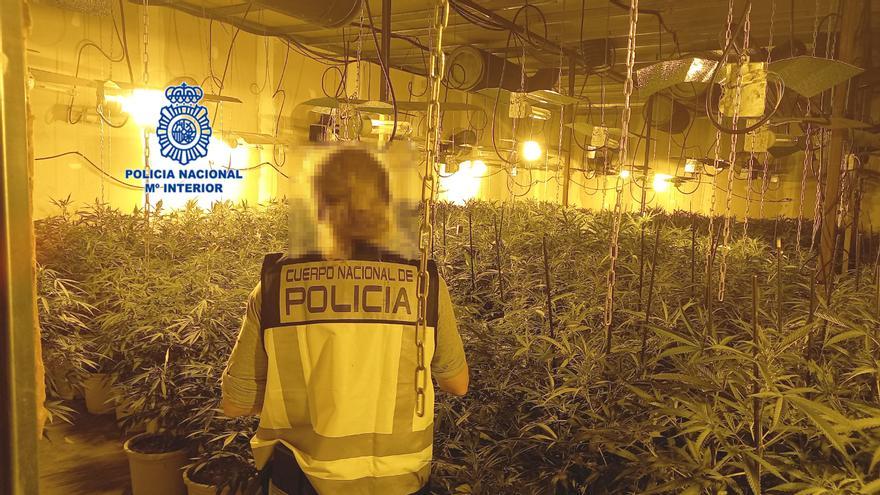 Los miembros de la mafia china detenidos en Gijón tenían a un trabajador &quot;semiesclavo&quot; para cuidar la plantación de marihuana