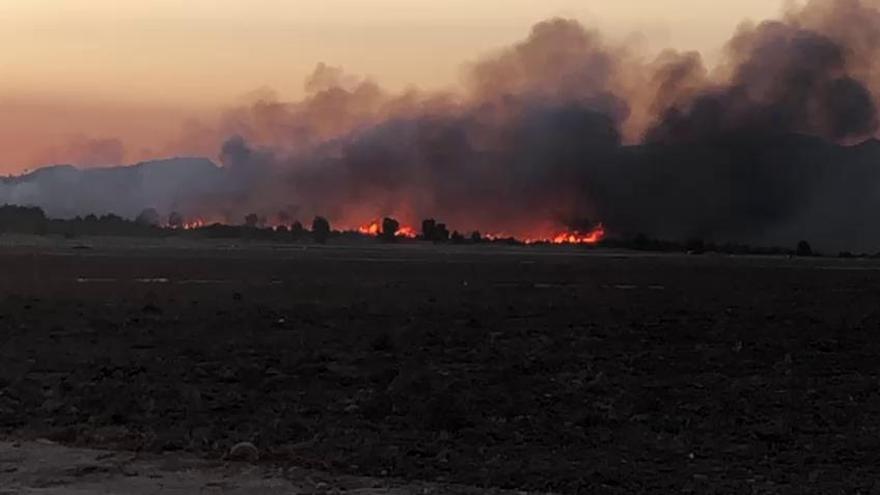 Incendio forestal en Calasparra