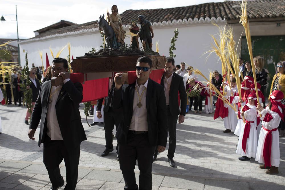 Semana Santa en la provincia 2019 | Domingo de Ram