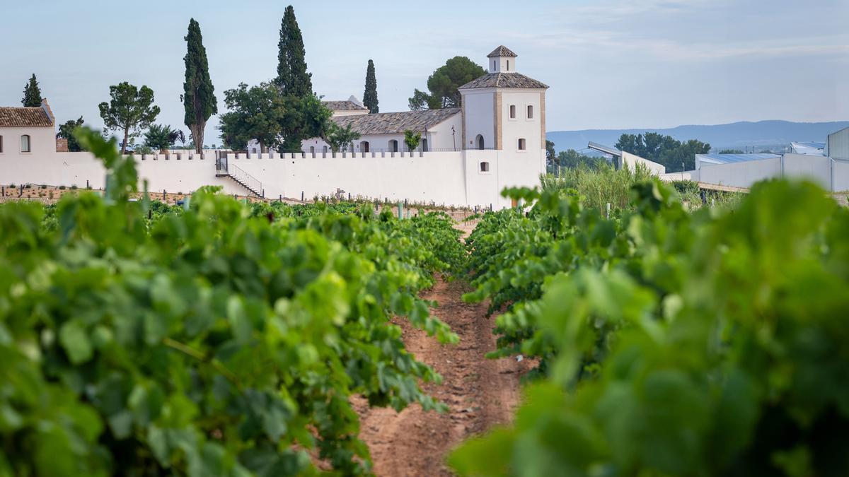 El enoresort Finca Calderón propone un San Valentín con una cena íntima.