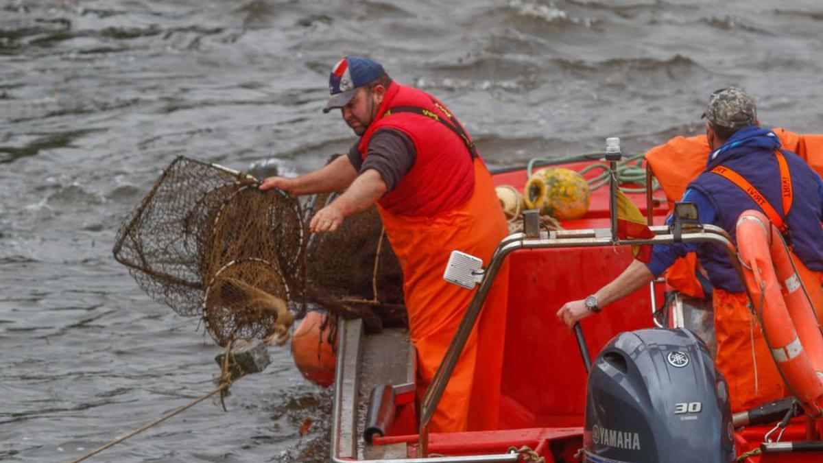 Dos marineros recogen las redes tradicionales para la pesca de la lamprea en el Ulla