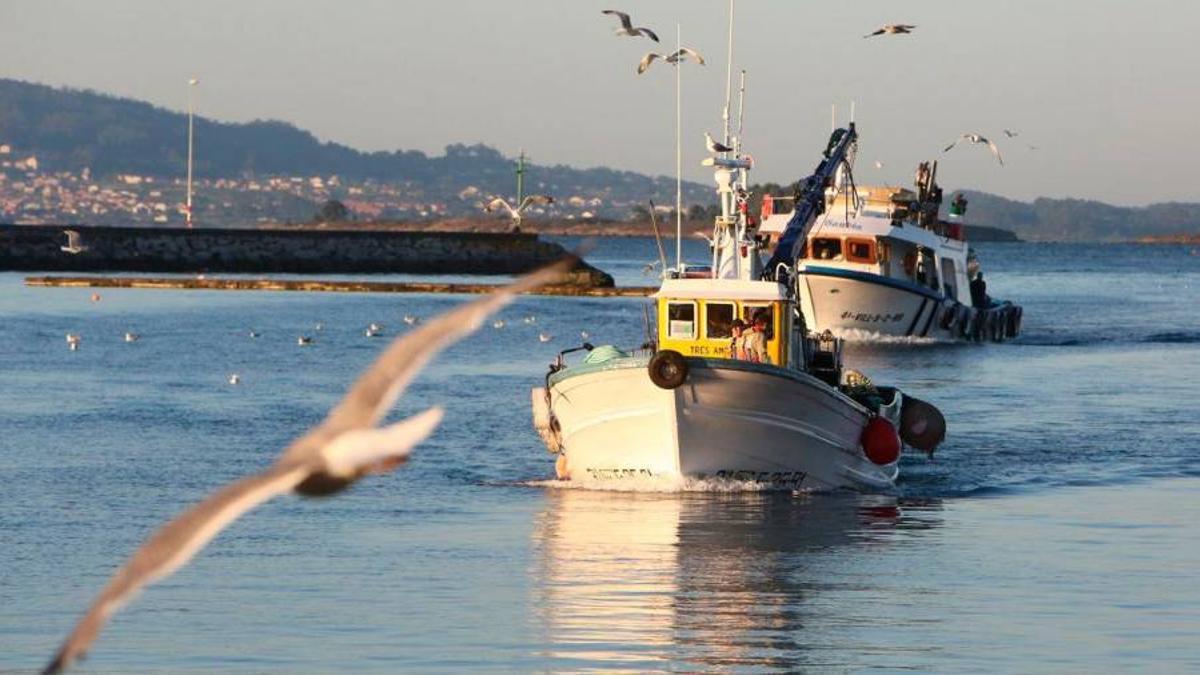 El dictamen del Consejo Internacional para la Exploración del Mar aumenta la preocupación en el sector de la pesca de fondo
