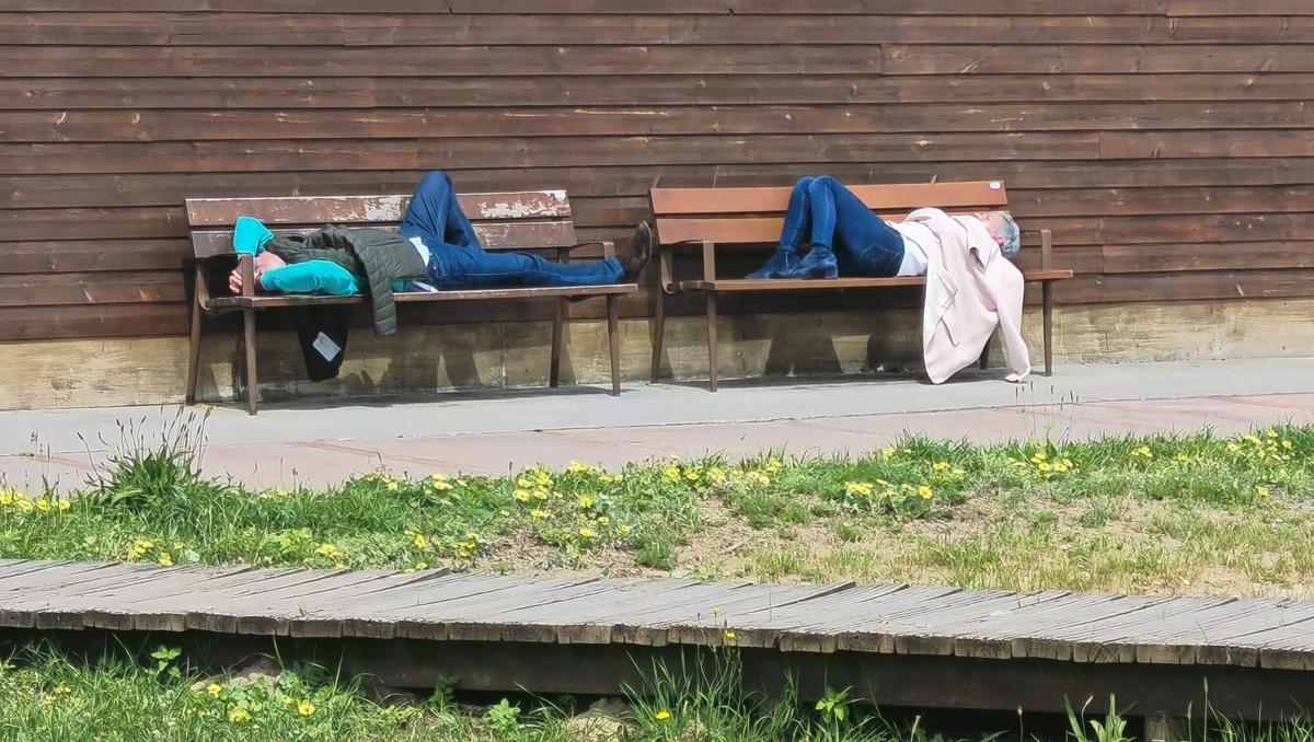 La sana costumbre de la siesta.