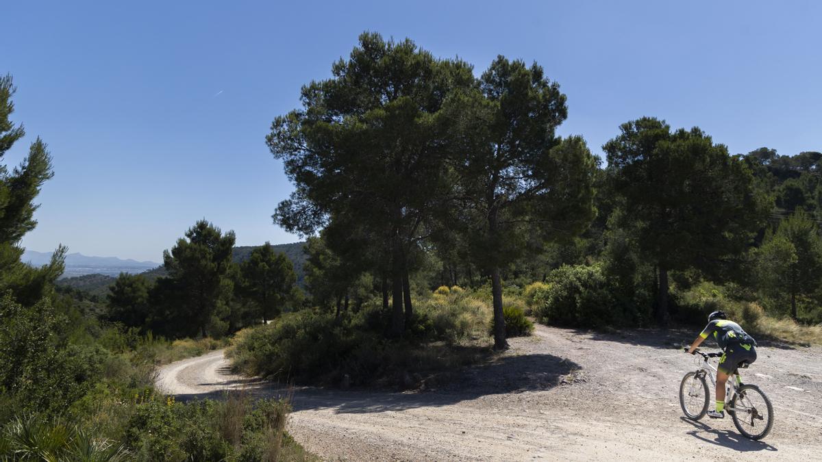 Paraje natural municipal Les Rodanes de Vilamarxant