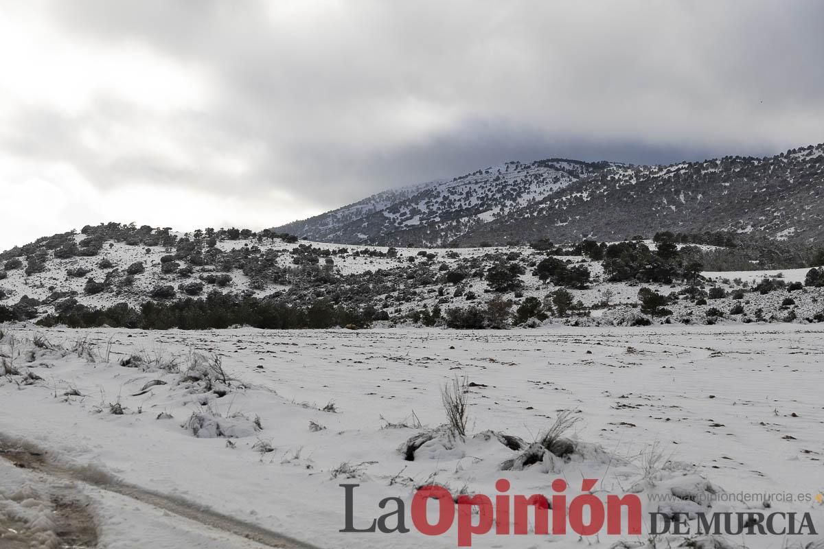 La borrasca Herminia tiñe de blanco la cima de la Región de Murcia
