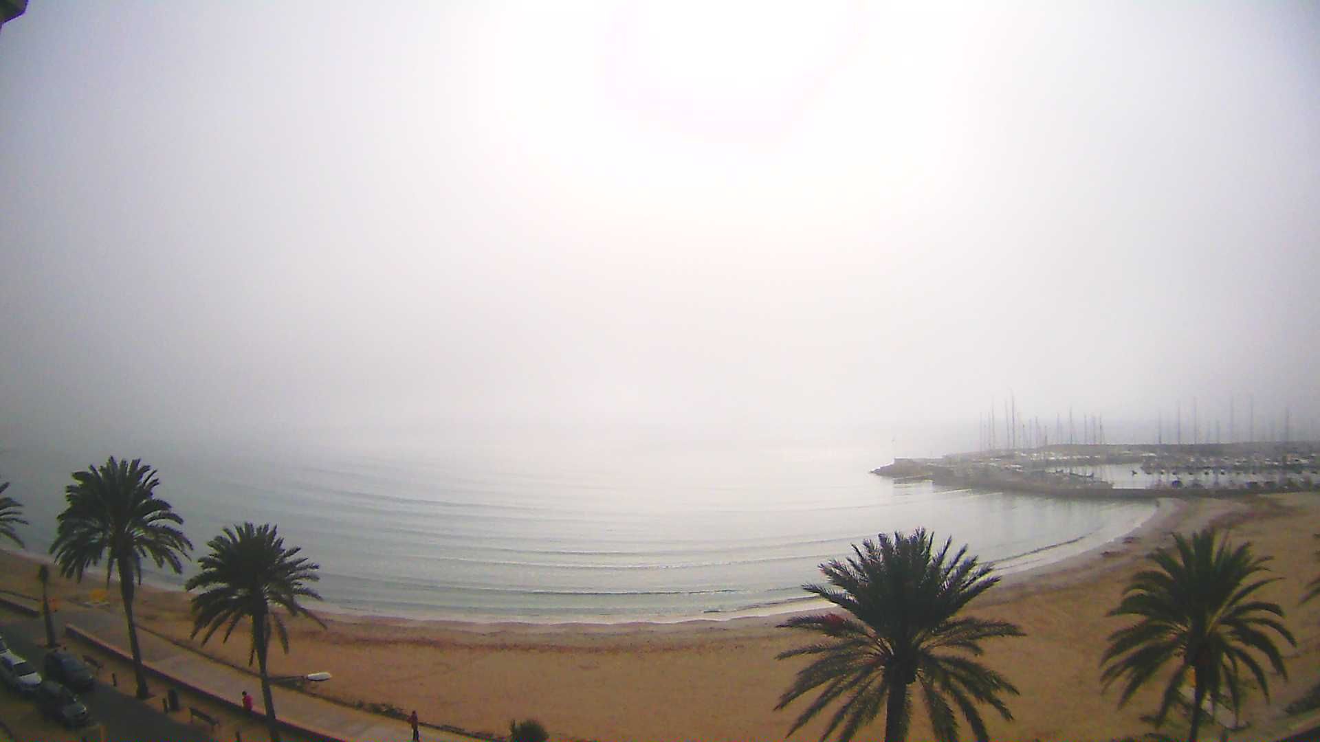 Breite Nebelbänke am Donnerstagmittag (3.2.) in der Bucht von Palma de Mallorca