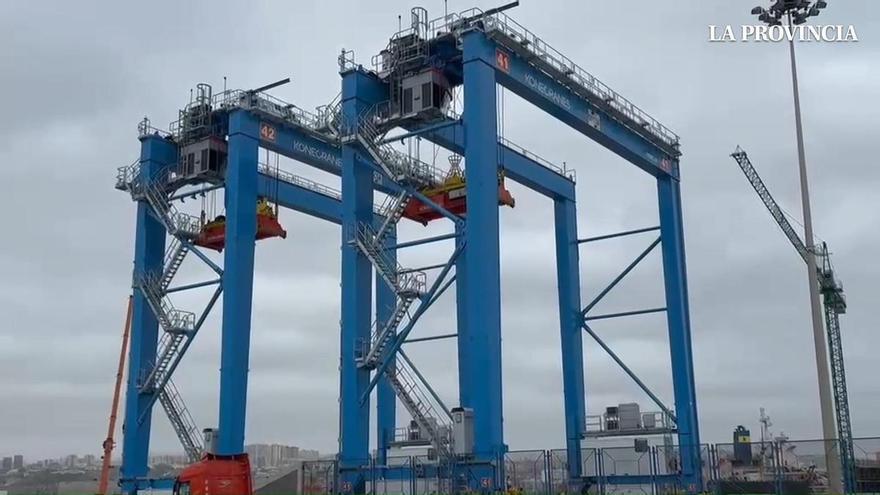 Jesús González, estibador del Puerto de Las Palmas: «Este es el mejor trabajo del mundo»