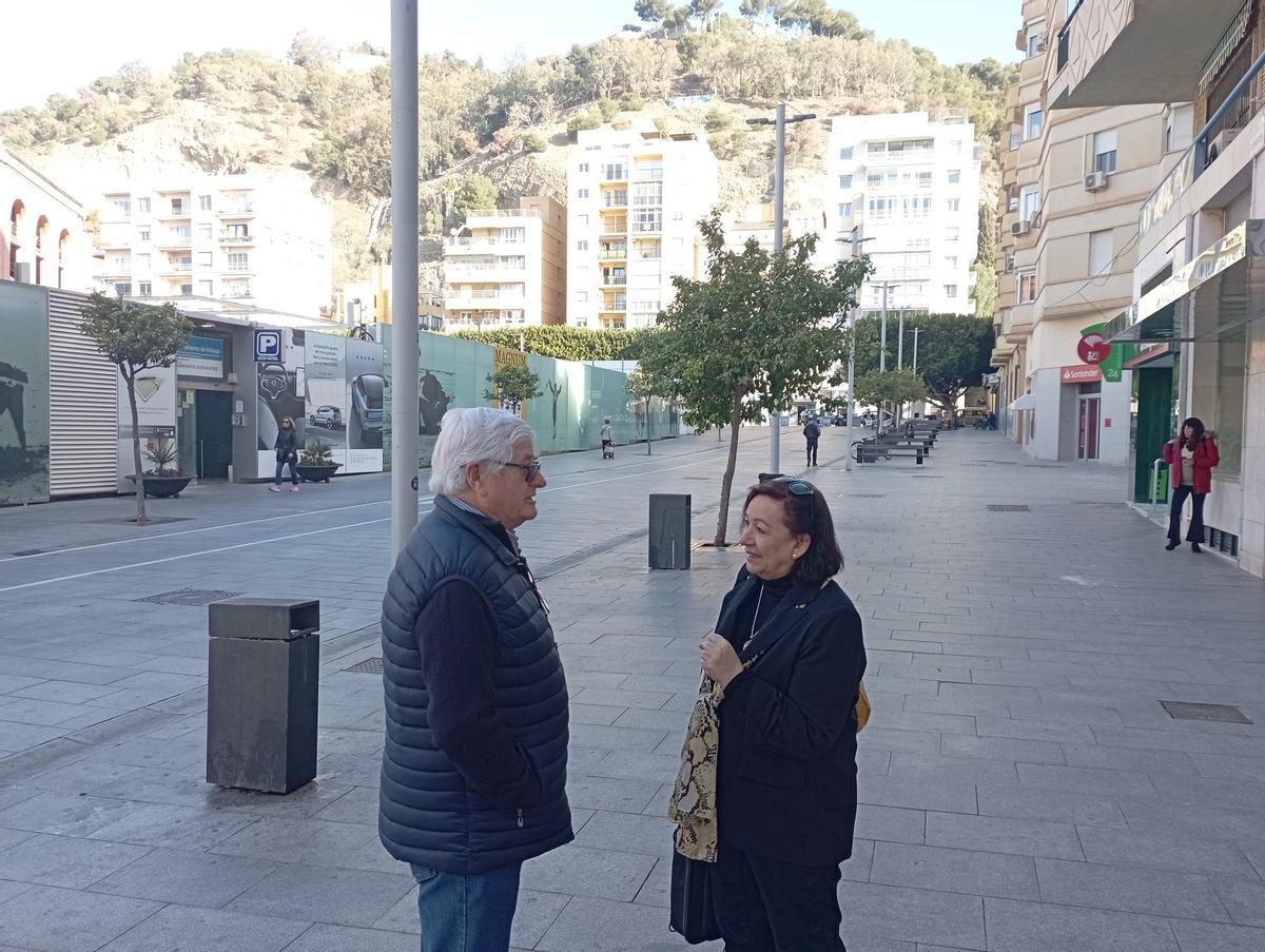 Los vecinos de La Malagueta reclaman árboles que den más sombra y más bancos en la parte ya peatonalizada de la calle Cervantes..