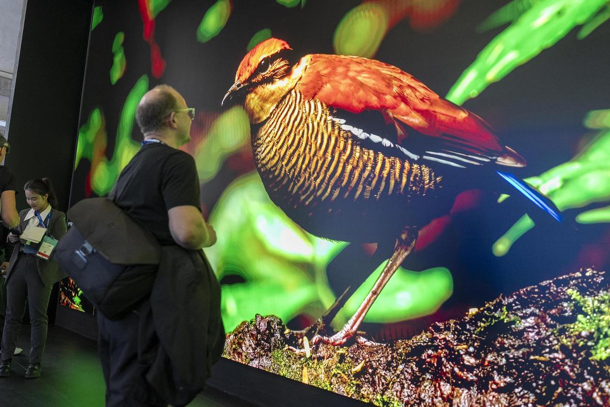 ISE 2026 convierte a Barcelona en capital mundial del audiovisual