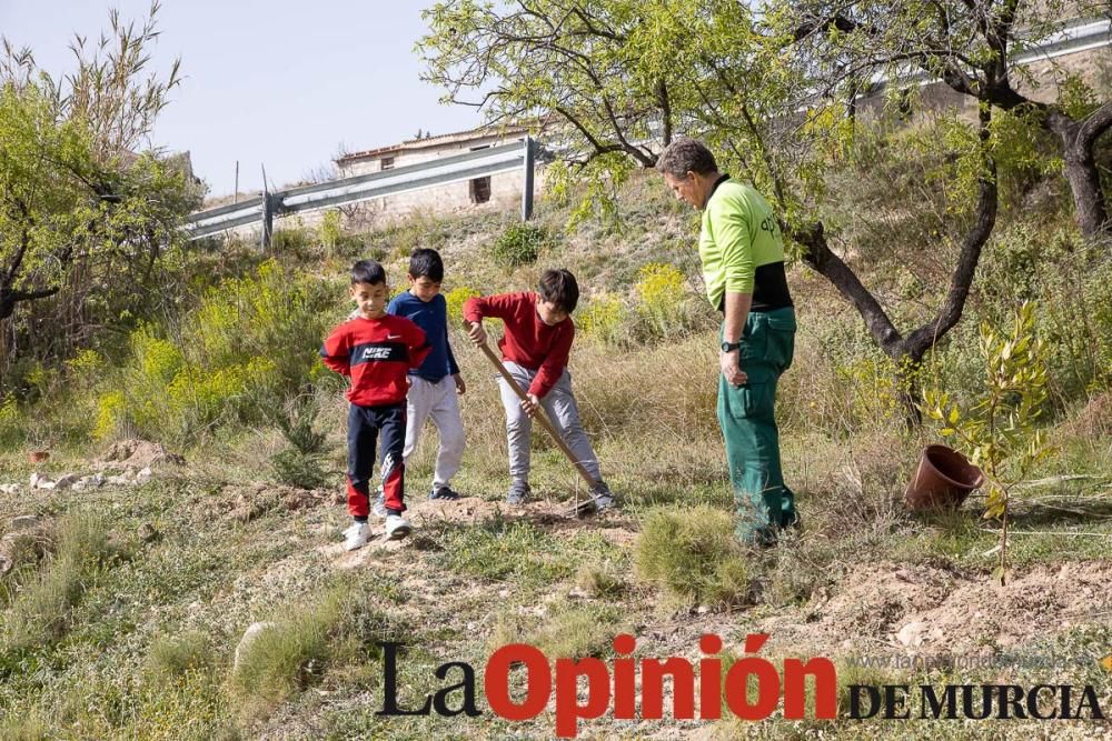 Reforestación en el paraje 'La Muralla' de Archive