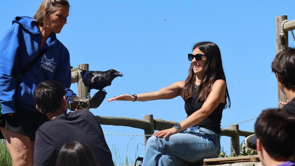 Una activitat amb aus  al Zoo del Pirineu