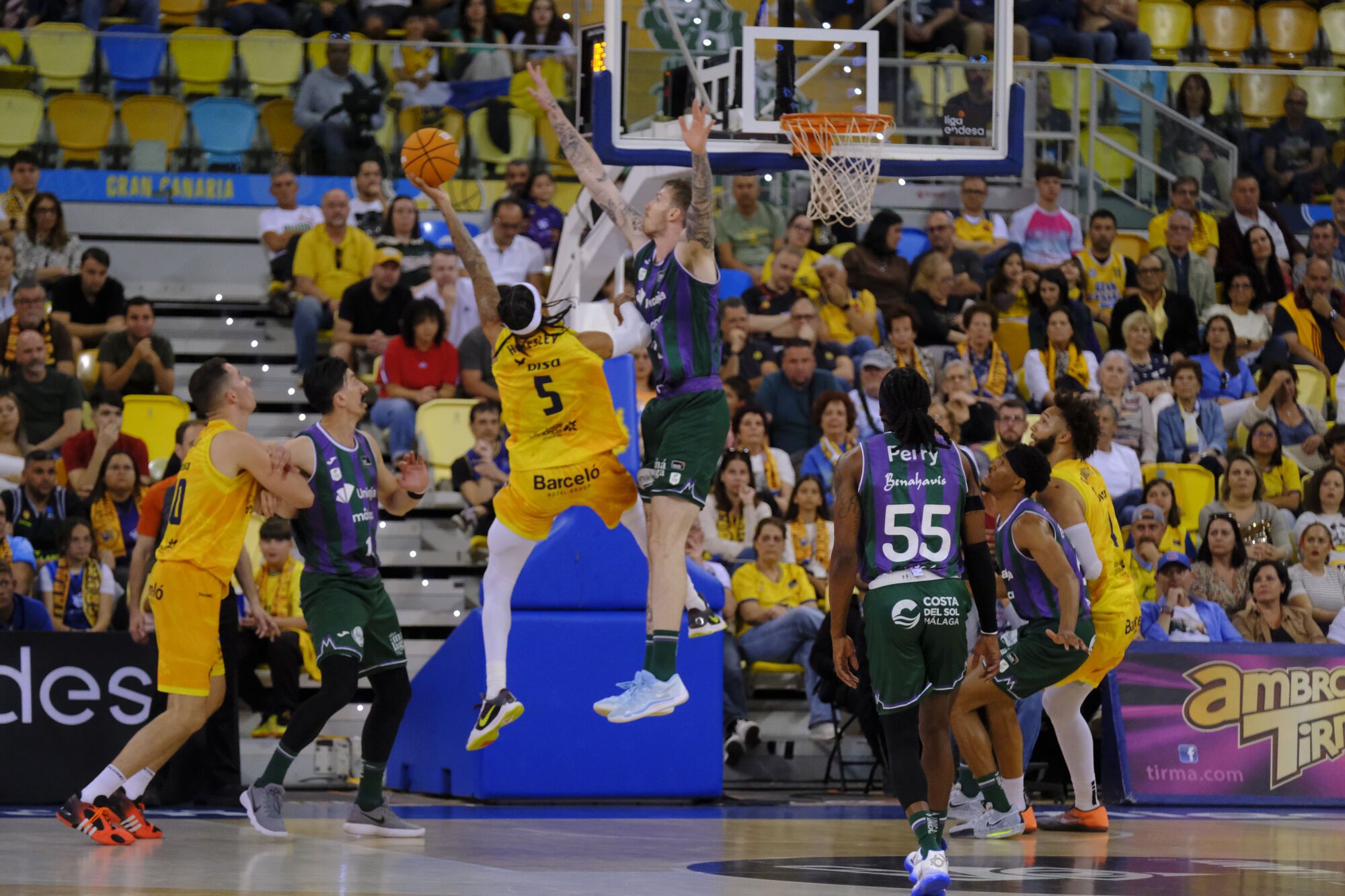 CB Gran Canaria - Unicaja Málaga
