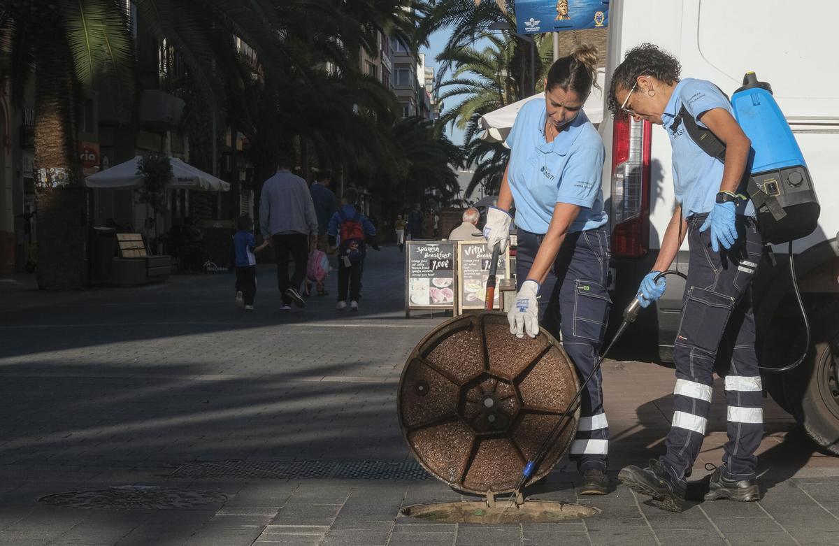 Trabajos de desratización en la zona del parque de Santa Catalina, en Las Palmas de Gran Canaria Trabajos de desratización en la zona del parque de Santa Catalina, en Las Palmas de Gran Canaria