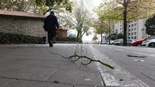 Cara y cruz de la borrasca "Claudia" en Asturias: calor con casi 24 grados y mucho viento con rachas de 137 kilómetros por hora