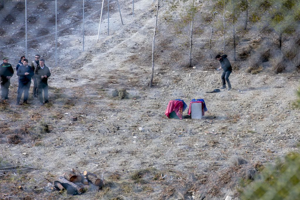 Las imágenes de la llegada de tres ejemplares de lince ibérico a las montañas de Lorca