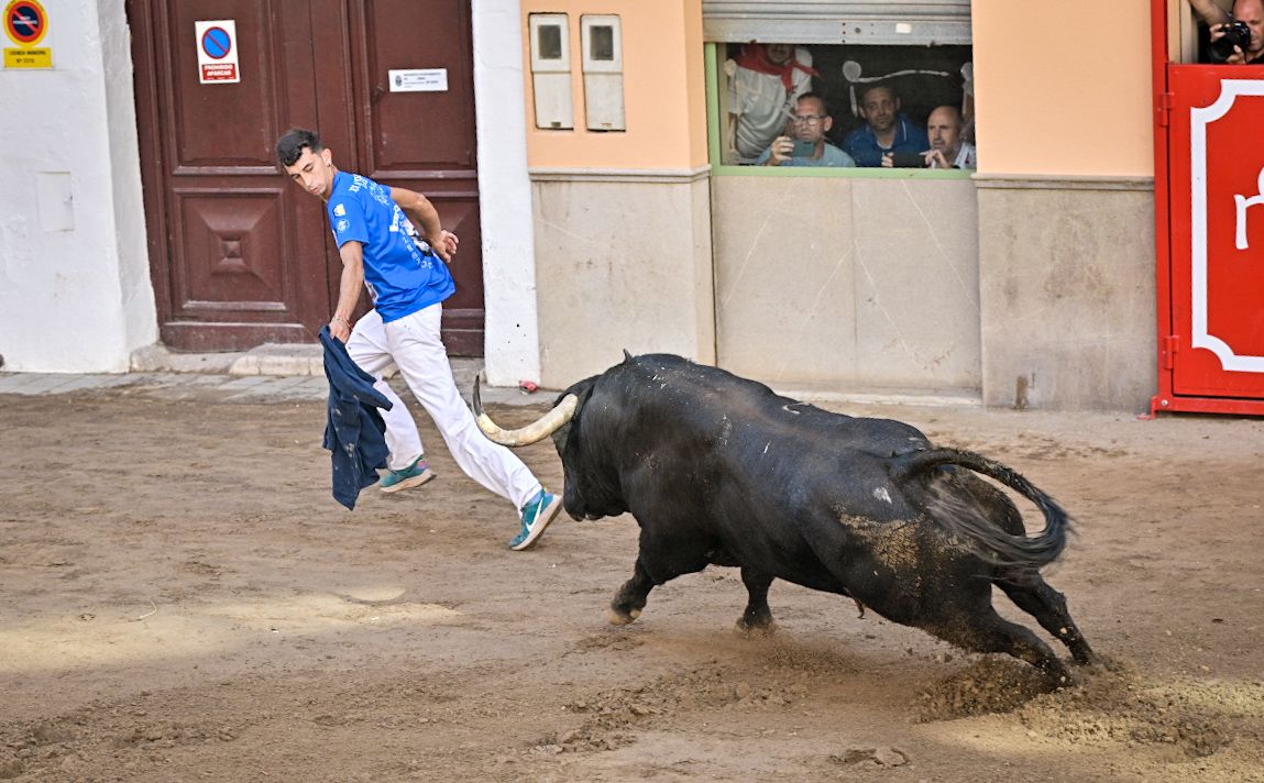 Las mejores imágenes del encierro de  Couto de Fornilhos y Santa Teresa en Onda