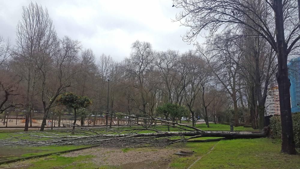 Efectos del temporal en Vigo