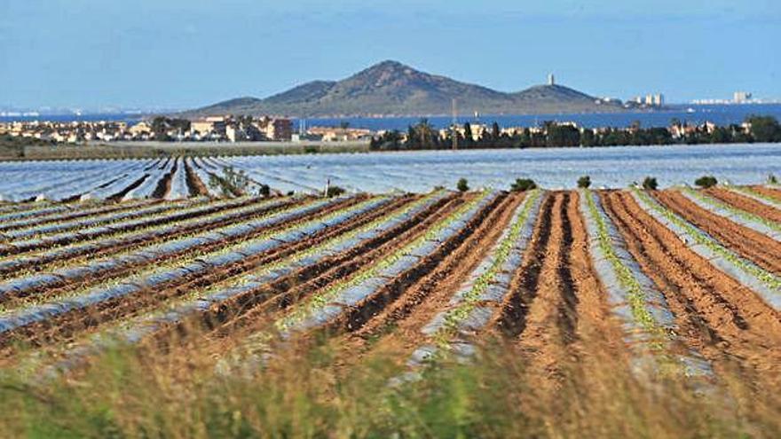 El Gobierno regional remarca que en los próximos días o semanas mandará a la Fiscalía la resolución de los expedientes.