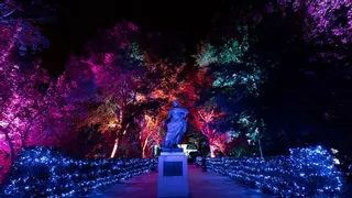 El nuevo espectáculo del Alcázar de Córdoba será "una experiencia inmersiva y mágica"