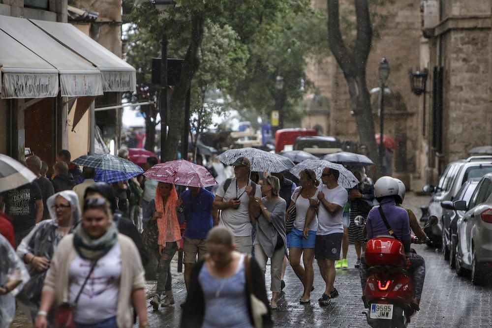 Martes de lluvia en Palma