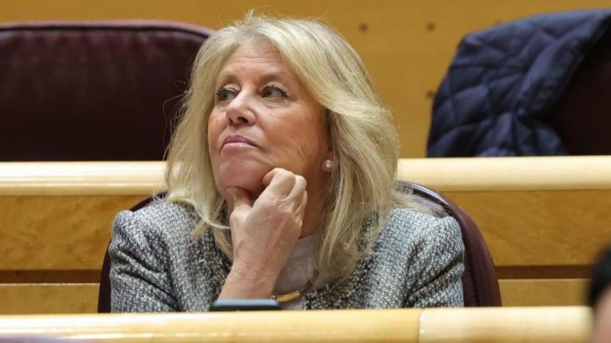 La alcaldesa de Marbella rechaza comparecer en la investigación del Senado sobre su patrimonio