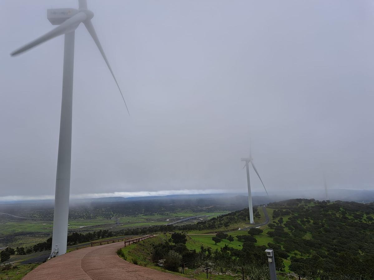 Varios de los aerogeneradores instalados en el parque eólico de Naturgy.