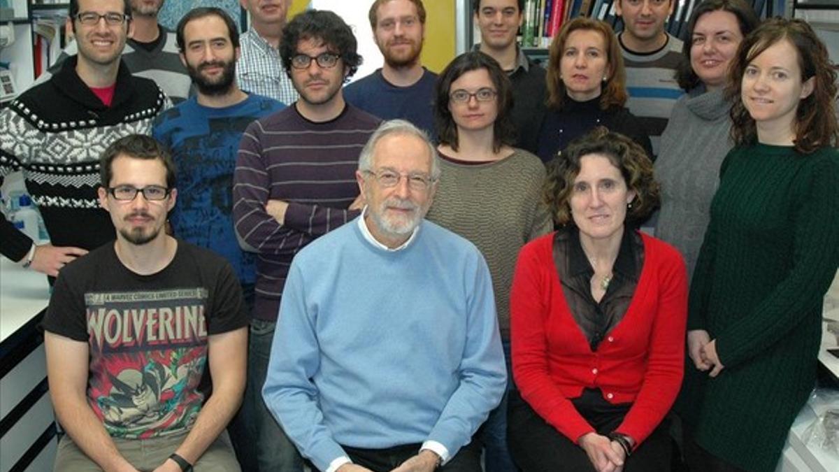 Investigadores del Laboratorio de Coronavirus del Centro Nacional de Biotecnología (CNB-CSIC), en Madrid, con su director, Luis Enjuanes, en el centro con jersey azul