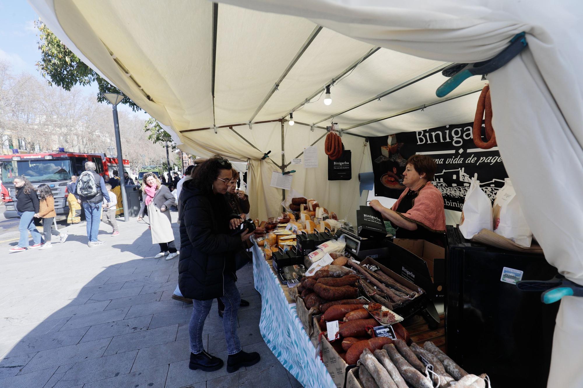 Miles de personas disfrutan de la primera jornada de la Diada de les Illes Balears