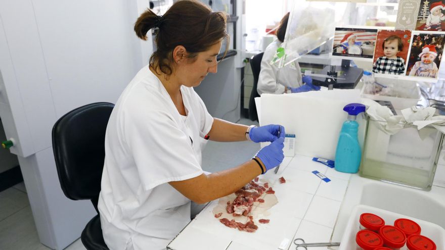 Ingeniería Biomédica, una titulación orientada &quot;hacia el ámbito de la salud&quot;