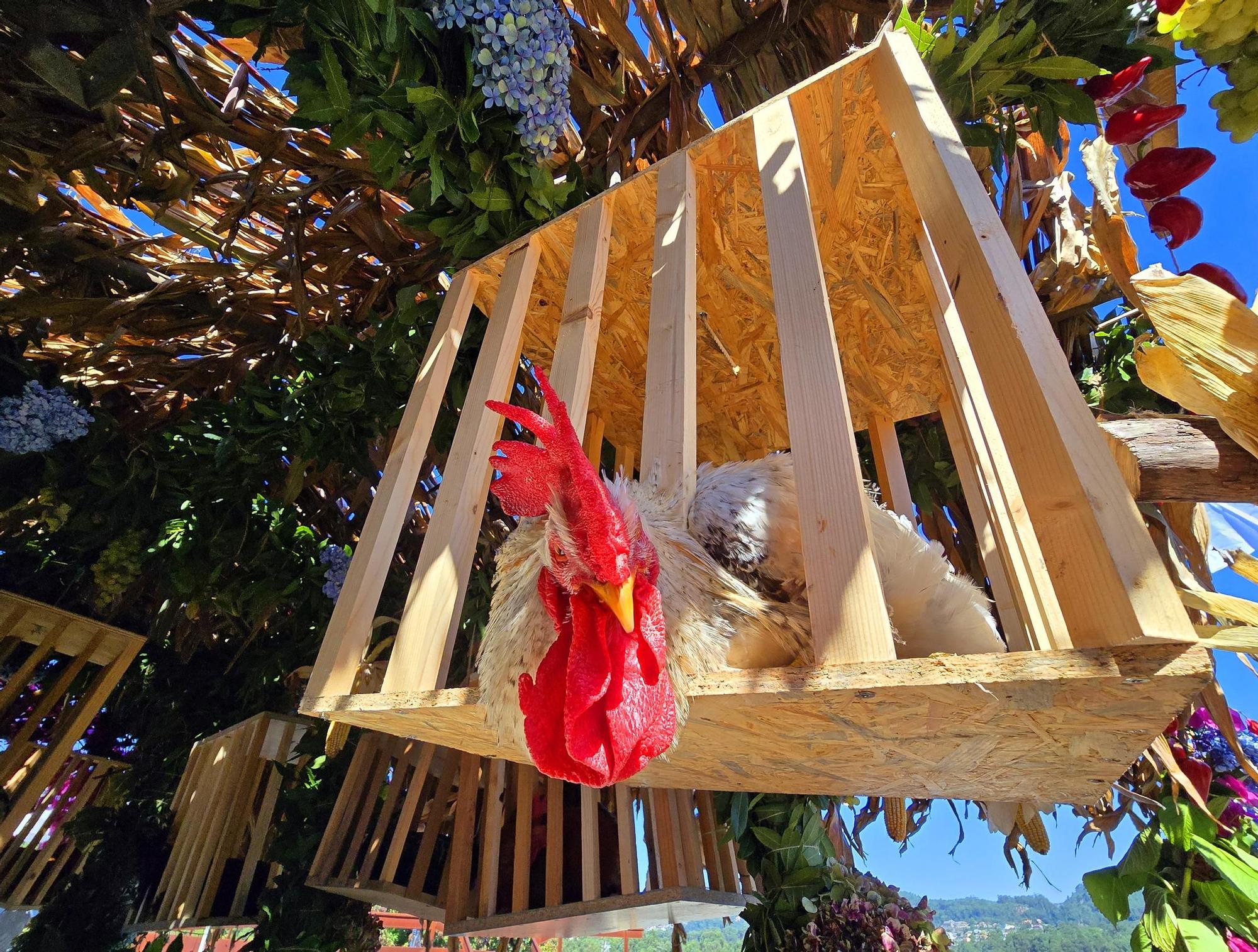 Tradicional procesión en San Miguel de Peitieiros