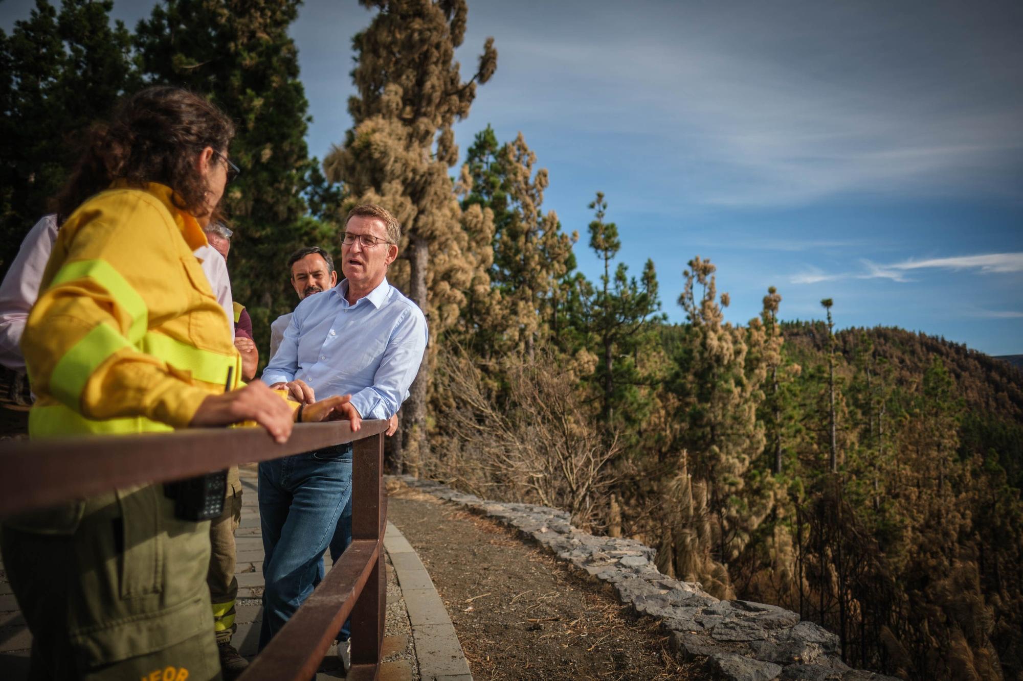 Visita de Núñez Feijóo al incendio de Tenerife