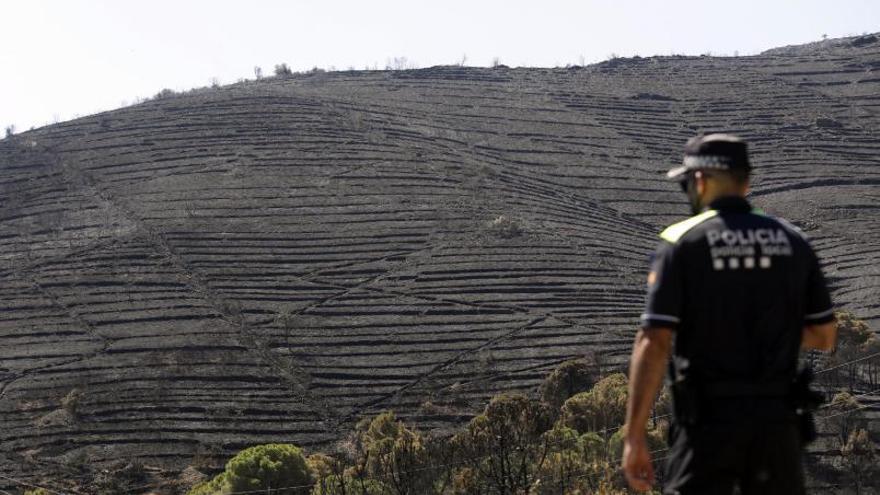 Un agent de policia observant part de la zona cremada pel foc d’aquest cap de setmana al cap de Creus.  | ANIOL RESCLOSA