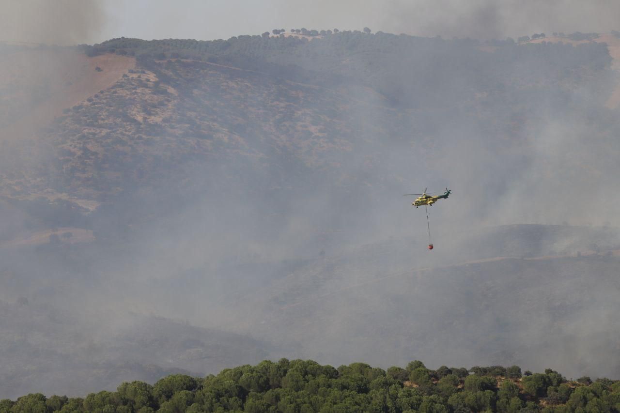 Incendio forestal en Cerro Muriano