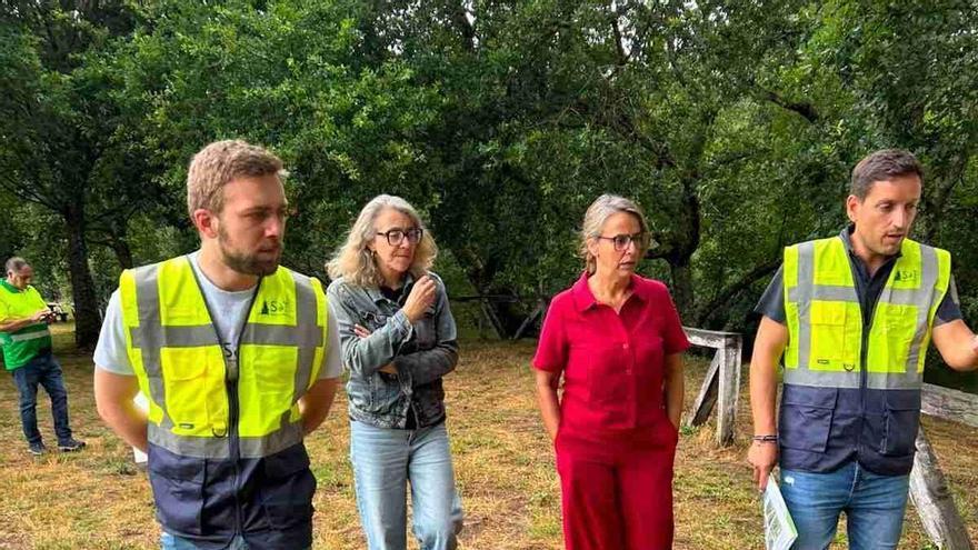 Silleda inicia las obras de mejora ambiental en la playa fluvial de As Xuntas