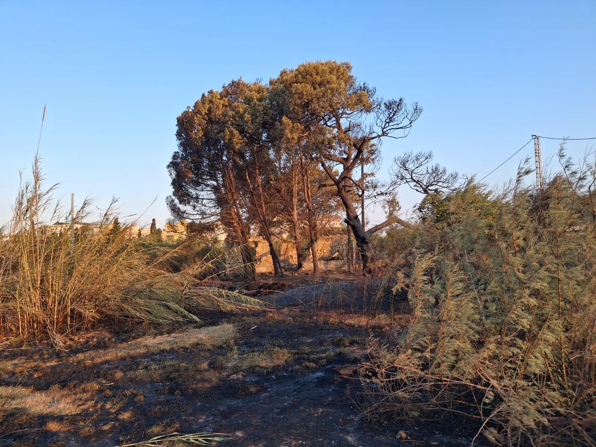 Un tramo de duna calcinado y escombros, abandono y cenizas: el estrago del incendio de Dénia junto a la playa del Raset