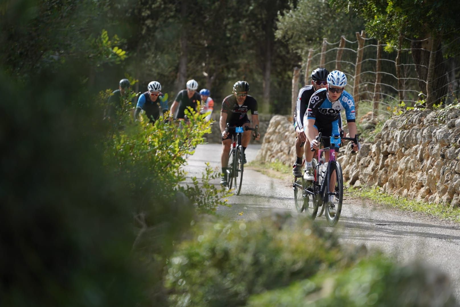 Unos 4500 ciclistas recorren la isla en la Mallorca 312